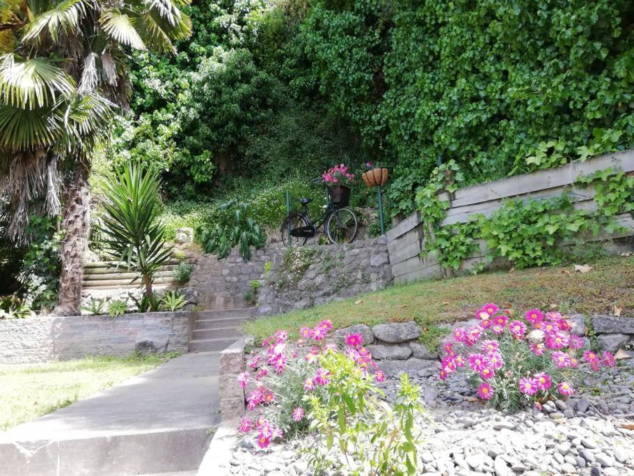 Shakespeare Cottage Napier Extérieur photo